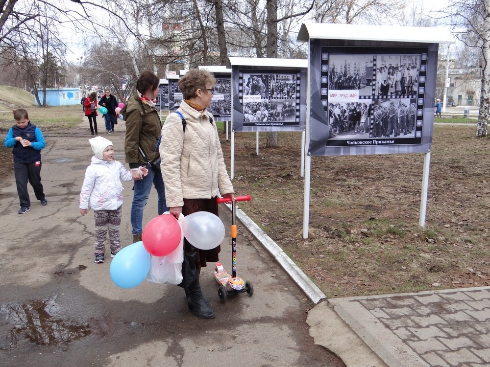 Майский чайковский